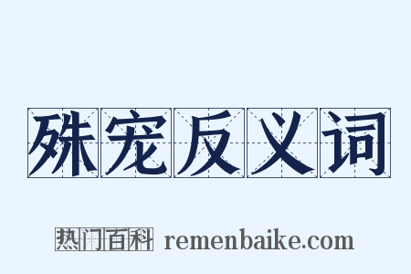 殊宠反义词是什么意思的图片